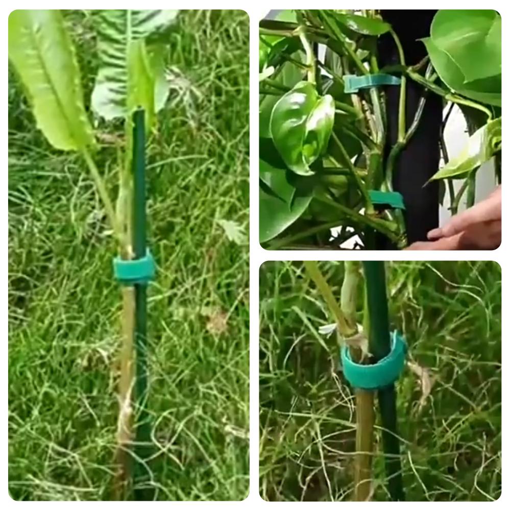100pcs Reusable Adjustable Non - Velcro Hook Loop ulasan dan harga